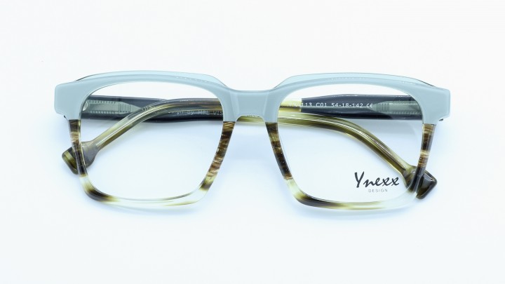YNA113 C01
