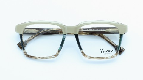 YNA113 C02