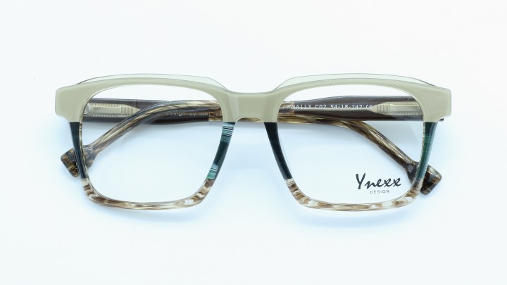 YNA113 C02